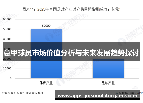 意甲球员市场价值分析与未来发展趋势探讨