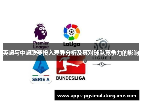 英超与中超联赛投入差异分析及其对球队竞争力的影响
