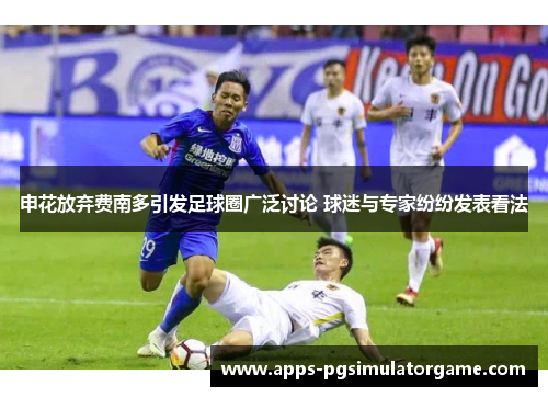 申花放弃费南多引发足球圈广泛讨论 球迷与专家纷纷发表看法