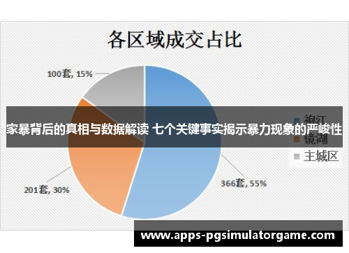 家暴背后的真相与数据解读 七个关键事实揭示暴力现象的严峻性