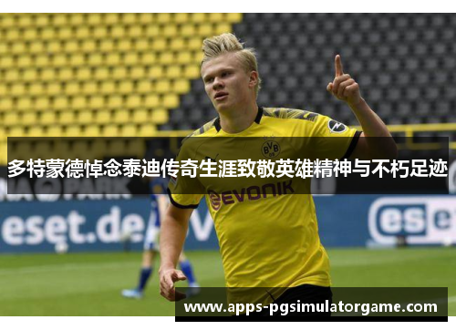 多特蒙德悼念泰迪传奇生涯致敬英雄精神与不朽足迹