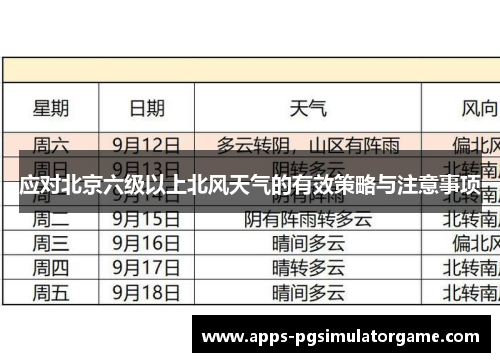 应对北京六级以上北风天气的有效策略与注意事项