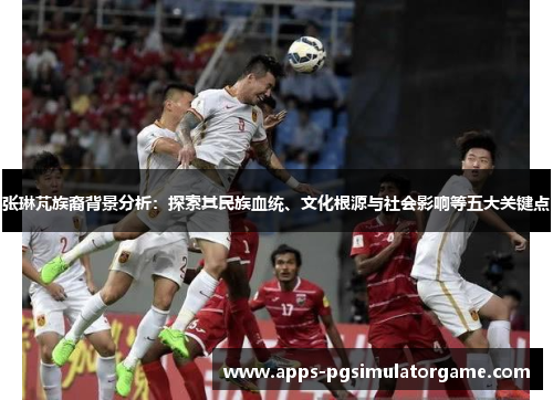 张琳芃族裔背景分析：探索其民族血统、文化根源与社会影响等五大关键点