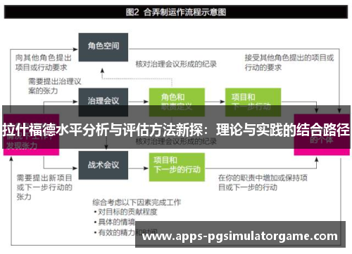 拉什福德水平分析与评估方法新探：理论与实践的结合路径
