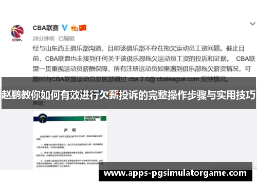 赵鹏教你如何有效进行欠薪投诉的完整操作步骤与实用技巧 赵鹏教你如何有效进行欠薪投诉的完整操作步骤与实用技巧
