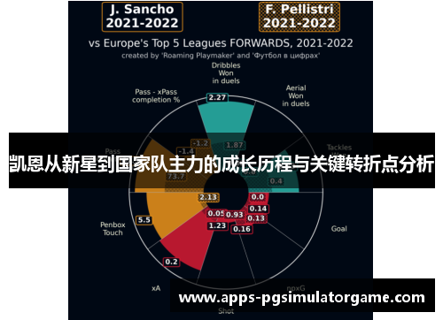 凯恩从新星到国家队主力的成长历程与关键转折点分析 凯恩从新星到国家队主力的成长历程与关键转折点分析